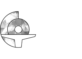 LOGO Certified Calisthenics Trainer
